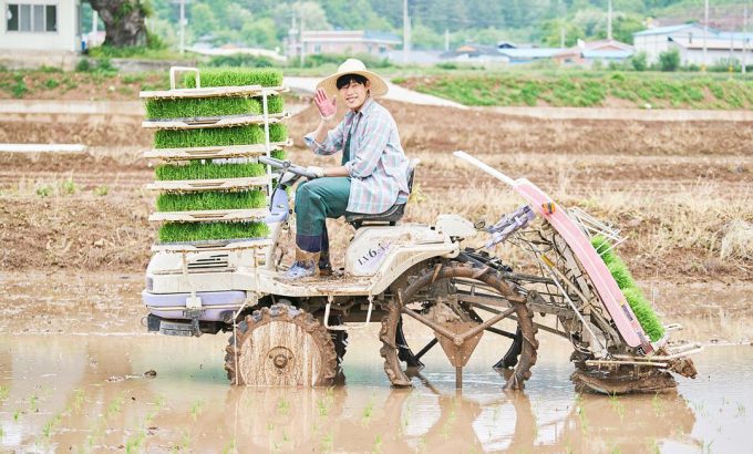 小森林